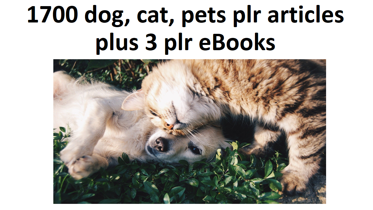 pets plus 3