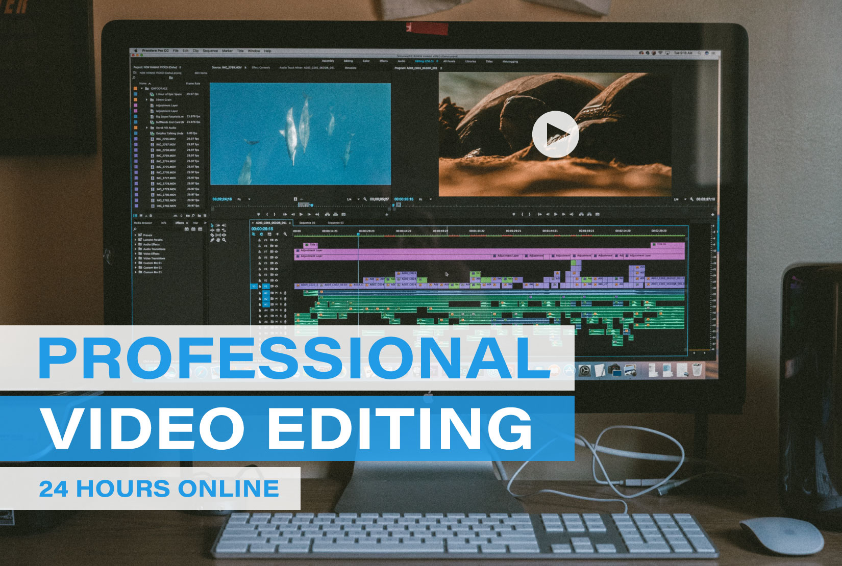 I will do professional video editing for you Legiit