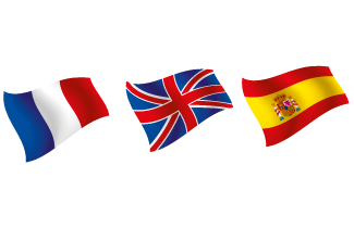 I Will Translate French English Spanish Legiit