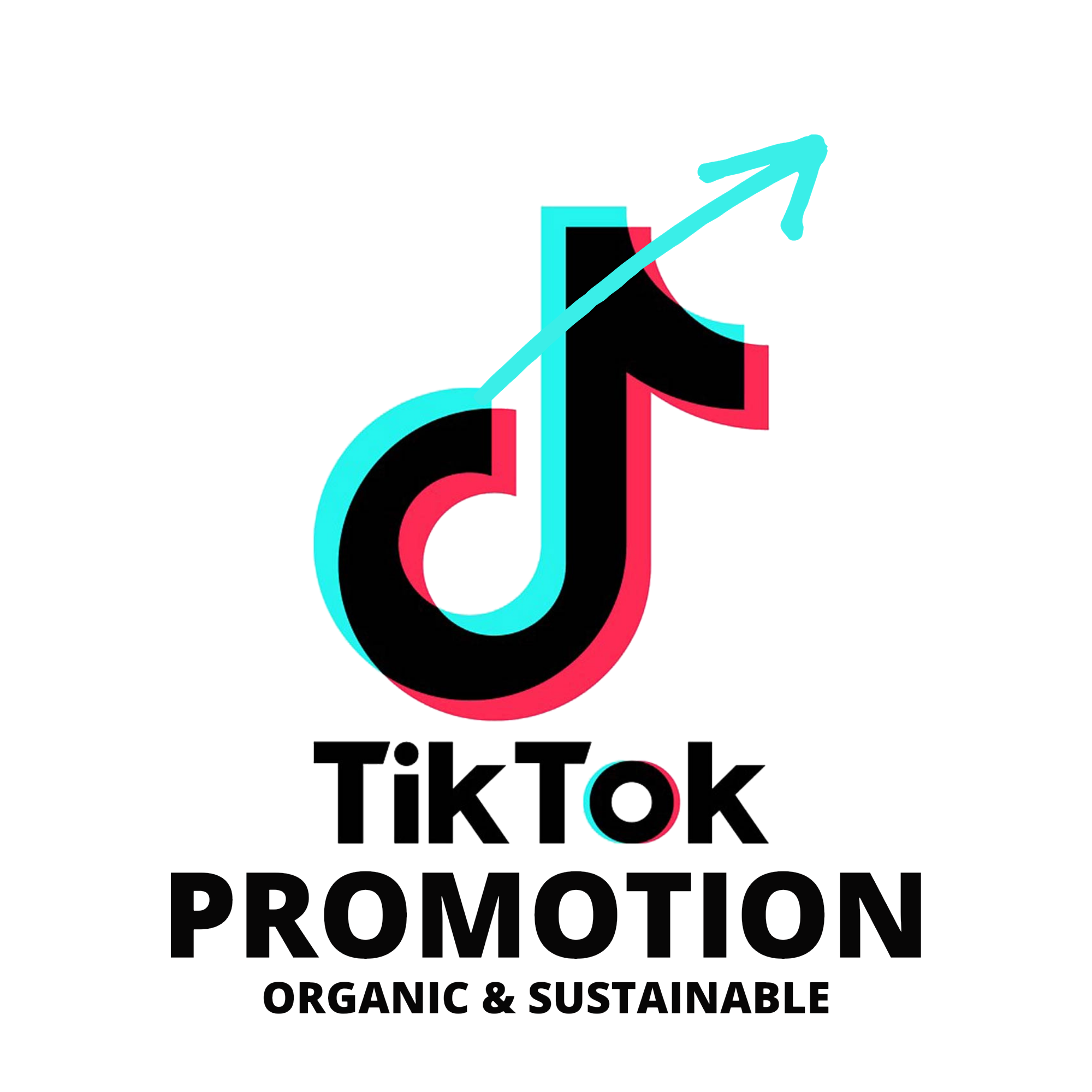 Grow Your Tiktok Video To Go Viral Legiit