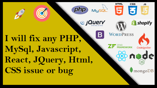 Fix Any Issue Or Bug In Your Website | Legiit