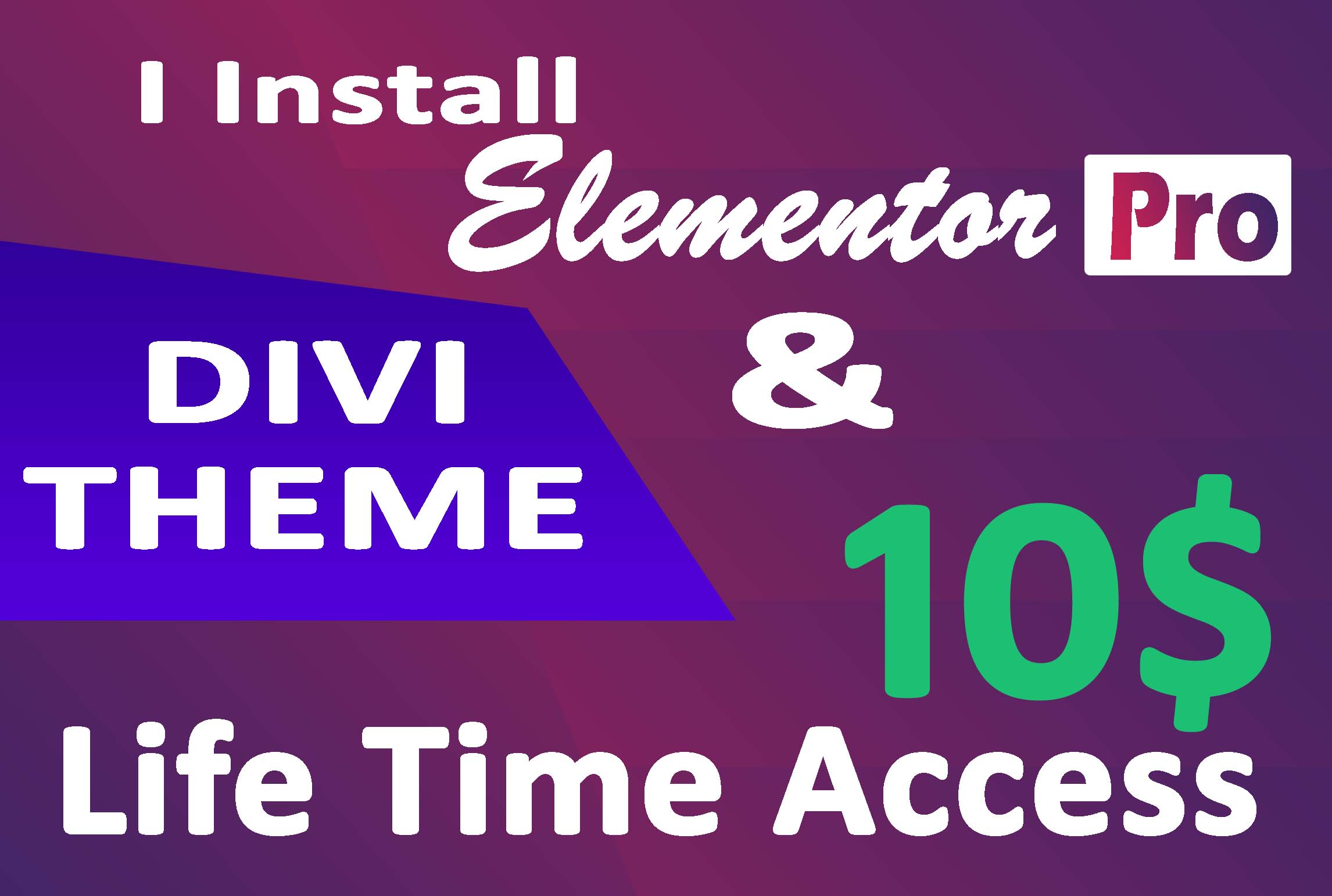 Install Elementor Pro Plugin On Your Website Legiit